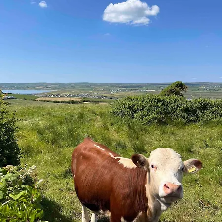 Hillside Hideaway شقة اهينتش