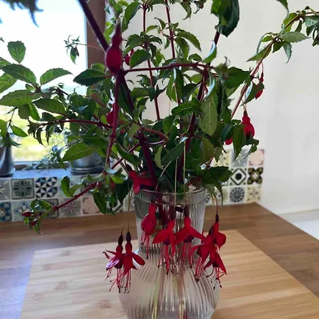 Hillside Hideaway * اهينتش