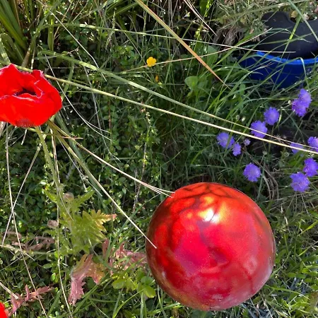 Hillside Hideaway شقة اهينتش