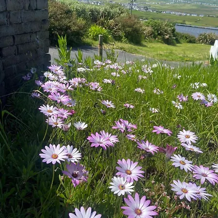 Hillside Hideaway * Lahinch