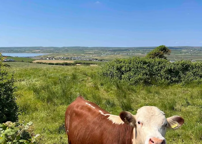 Hillside Hideaway Διαμέρισμα Lahinch