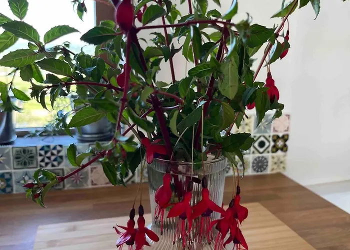 Hillside Hideaway * Lahinch