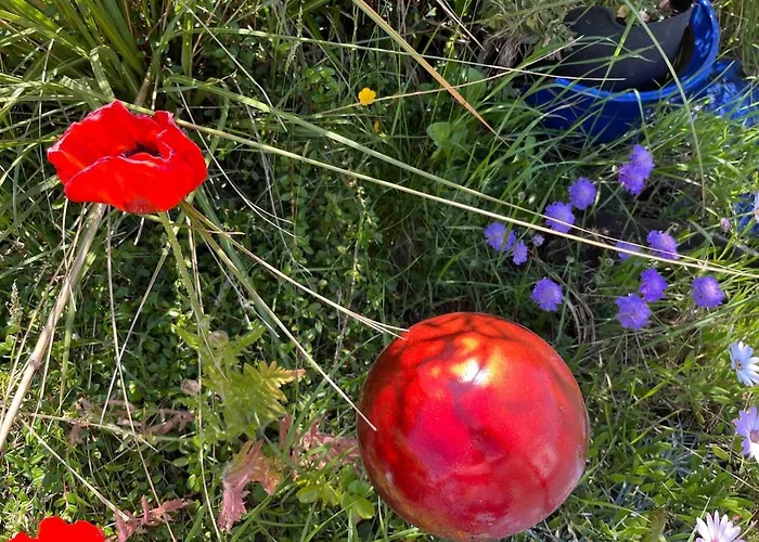 Hillside Hideaway Διαμέρισμα Lahinch