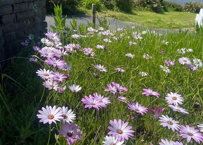 Hillside Hideaway * 라힌치